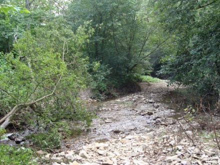 http://blog.pioder.pl/upload/20140819_29.jpg