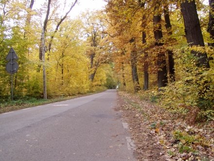 http://blog.pioder.pl/upload/20151024_16.JPG
