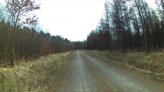 http://blog.pioder.pl/upload/20170325_15.JPG http://blog.pioder.pl/upload/20170325_15.JPG