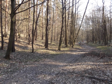 http://blog.pioder.pl/upload/20170402__19.jpg http://blog.pioder.pl/upload/20170402__19.jpg