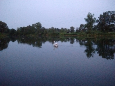http://blog.pioder.pl/upload/20170718_04.jpg http://blog.pioder.pl/upload/20170718_04.jpg