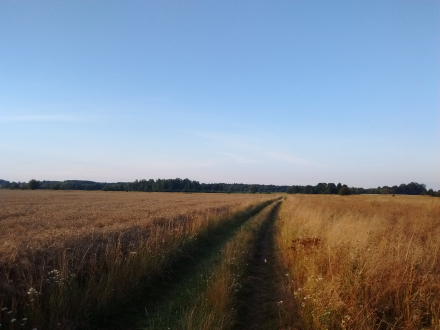 http://blog.pioder.pl/upload/20170724_192820968.jpg http://blog.pioder.pl/upload/20170724_192820968.jpg