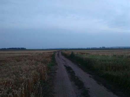 http://blog.pioder.pl/upload/20170724_203243573.jpg http://blog.pioder.pl/upload/20170724_203243573.jpg